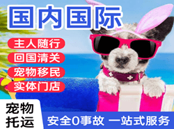 贡嘎机场快运国际宠物托运 【国